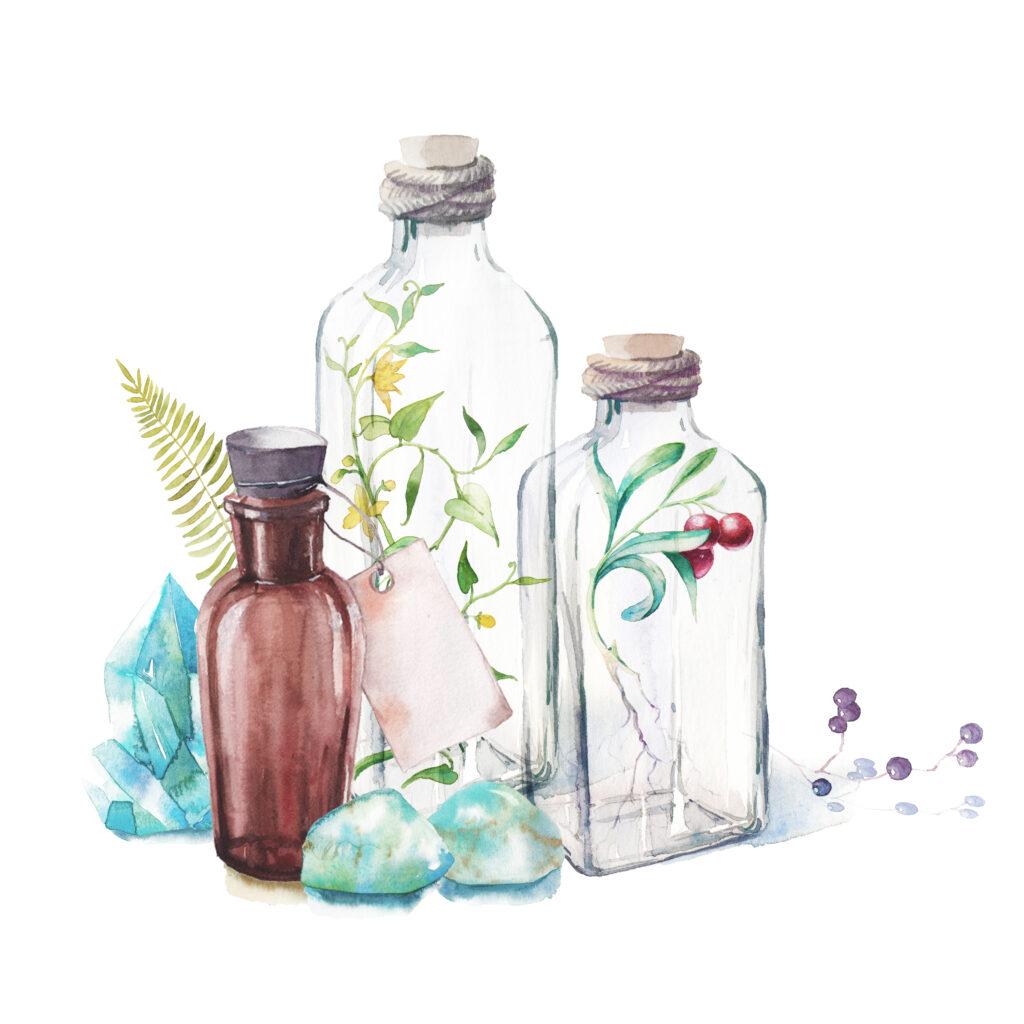 ilustración botellas cristal, plantas, frutos rojos