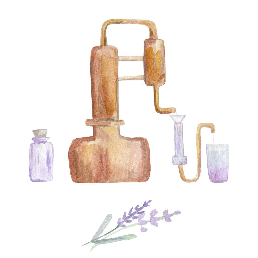 ilustración destilación, aceites esenciales, lavanda