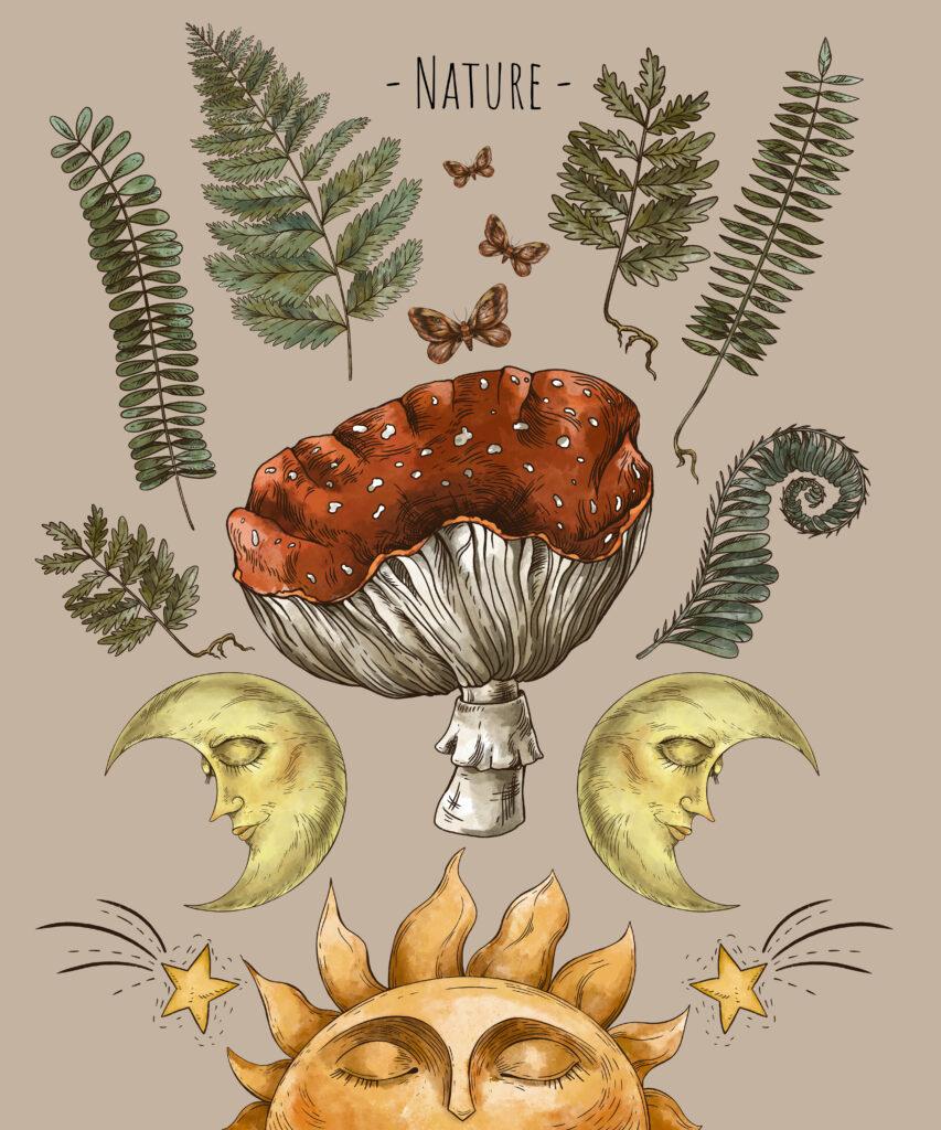 Ilustración naturaleza, sol, plantas, hongo, luna, mariposas, estrellas